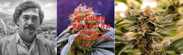 PSILOCYBIN Богданович