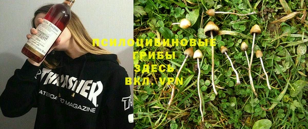 Альфа ПВП Богородицк