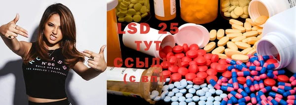 PSILOCYBIN Богданович