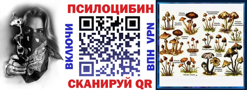 Псилоцибиновые грибы MAGIC MUSHROOMS Кущёвская